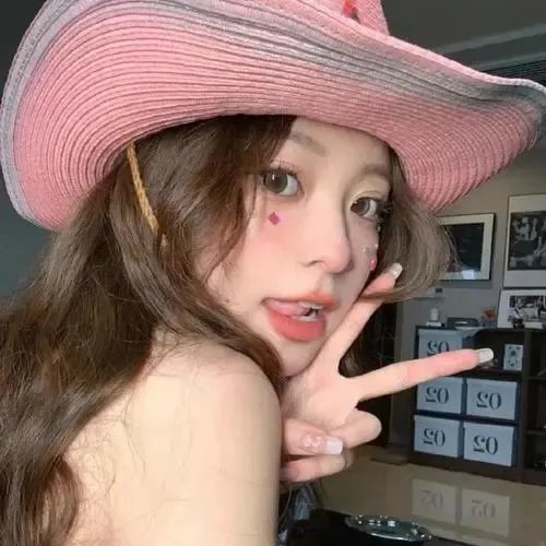 凤栖凤息回故乡